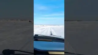 Амур мчим за аухой
