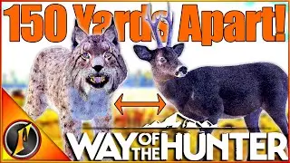 INSANE LUCK! 5 Star Lynx + Melanistic Roe Deer 150 Yards Apart! | Way of the Hunter
