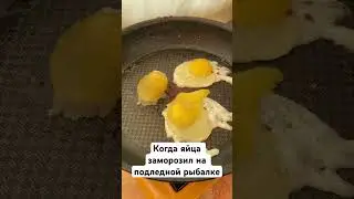 Замерзли яйца, как быть? Делай так!!!  