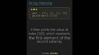 Python Array Indexing Expert
