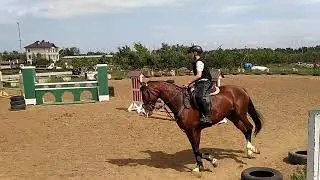 Никита Погоня, Унция (KWPN), тренировка с высотой до 110 см. 4.06.2019