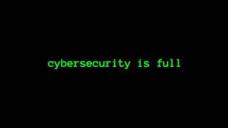the cybersecurity job market...