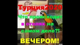 Турция. Hotel Grand Miramor 4*.Гранд Мирамор Кириш Кемер вечер. Лучшие бюджетные отели в Турции.