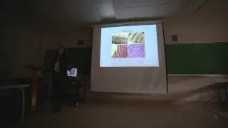 Biological Integrity of Snow Creek, a Historically Impacted Stream