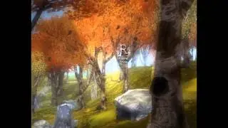 Realms Online - Black Shadow Fix