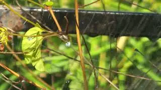 Samsung galaxy s22 ultra video test. pro mode. #samsunggalaxys22ultra #videotest