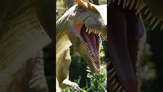 amazing Animals 😳#shorts #viralshorts #fish #fishing #amazingfish #trendingshorts #tiktok #cow