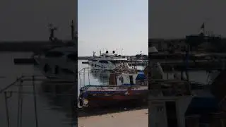 Spirit 555