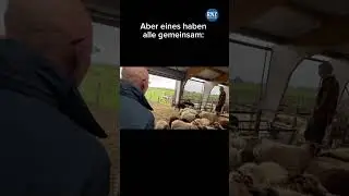 So schön ist es auf der Wattenmeer-Insel Texel