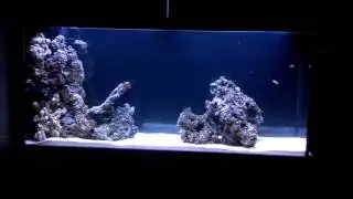 Море 360 литров