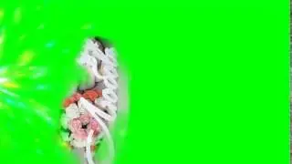 футаж хромакей любовь