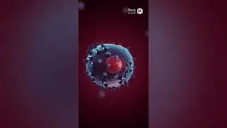 Онкологиялық жаңа түзілулердің пайда болуы