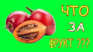 УГАДАЙ ФРУКТ по косточке