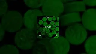 AWO - Ecstasy