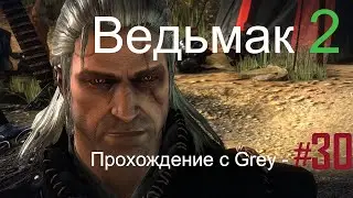 Ведьмак 2  Прохождение с Grey   # 30