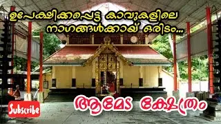 ആമേട ക്ഷേത്രം /Ameda Temple History In Malayalam