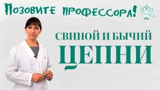 Свиной и бычий цепни