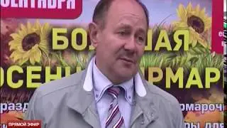 Большая осенняя ярмарка