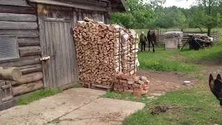Tethering post/Horse is working.