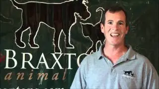 Pet Store Influencers - Braxton's Animal Works