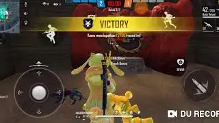 Bundle Bunny Egghunter