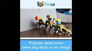 Bittle Robot Dog Gets Eyes! | Open Source Vision Upgrade | PetoiCamp