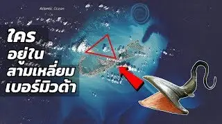 สิ่งมีชีวิตชนิดใดอาศัยอยู่ในสามเหลี่ยมเบอร์มิวด้า(สัตว์โลก)