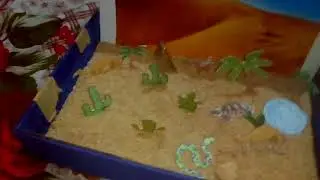 desert model by biyanka...