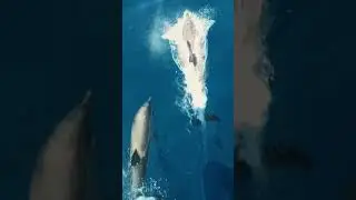 Заряжай #demidovtime