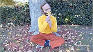 Man sniffs leaves