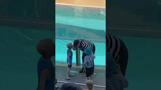 Tom’s Fan Club 🏠😄 | Tom the Mime Seaworld