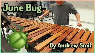 Jimmy Plays 