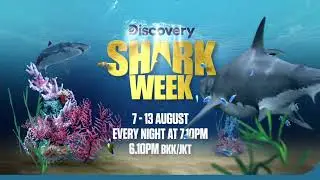 Shark Week 2023 | Discovery Channel Southeast Asia