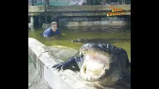 Danger Zone