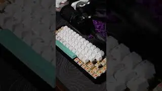 Tactile Switches are a Cheat Code for Good Sound...