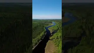 ЭТО ЛЕТО  #russia #природа #shorts #short
