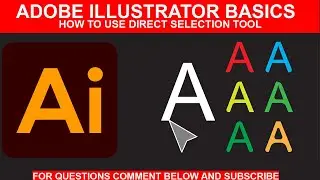 Adobe Illustrator Basics | How To Use Direct Selection Tool | Part 1
