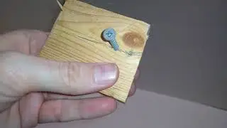 Custom split wood for bsf flies to lay eggs in.