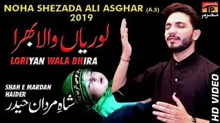 Lorian Wala Bhira - Shah E Mardan Haider || Noha 2018-19 - 