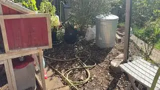 How to Protect Outdoor Plants in Winter Freeze
