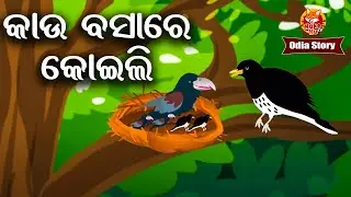 Kau Basare Koili - କାଉ ବସାରେ କୋଇଲି |  Odia Moral Story | Huke Hu TV