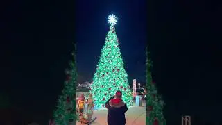 christmas tree lighting countdown