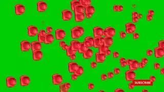 ROSE PETALS RAIN GREEN SCREEN
