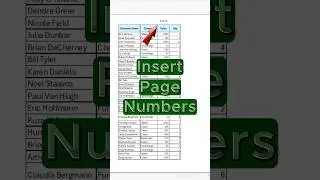 Insert Page Numbers in Excel.. 