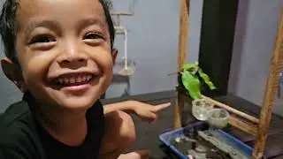 Mainan baru dek Bhim, burung hantu kecil mungil