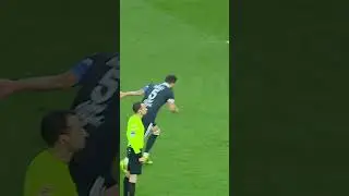 Vous souhaitez enlever une toile d’araignée en lucarne ? Appelez Yoann Barbet ! 🕸💥