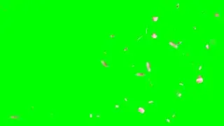 free green screen Cherry Blossom and leaves effects