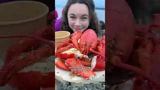 Wild Island Kitchen