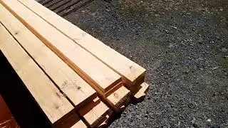 (18+)Алигархи