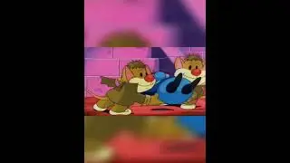 topos y murciélagos - la calle de las estrellas - tv patin